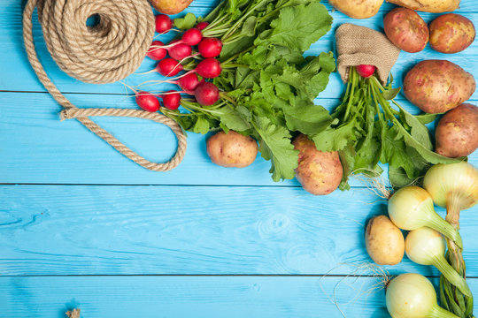 Fresh vegetables on a rustic blue background