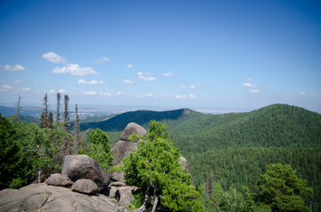 Fores hills
