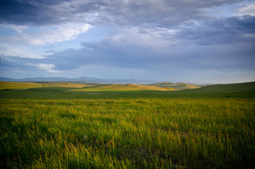 Fototapeta na wymiar Field wih grass and hill