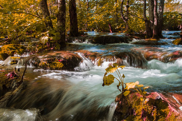 Krka