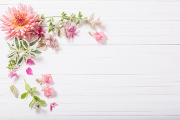 beautiful flowers on white wooden background