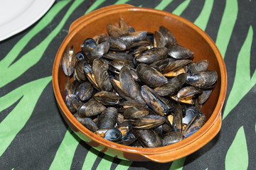 Mussels