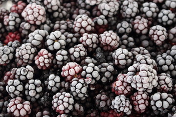 Schwarzbeeren © Heike