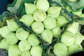 Fresh lotus buds bouquet sold at flower market in bangkok, thailand