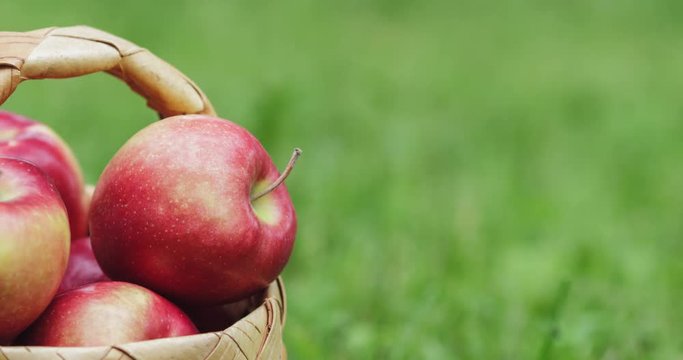 wicker basket full of gala apples