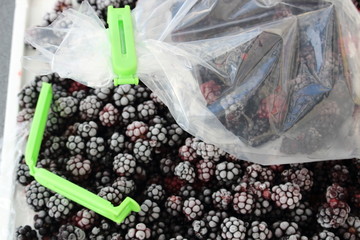 Brombeeren in Gefrierbeutel © Heike