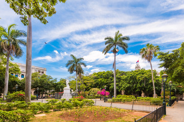 Branchy trees and a path through them, Trinidad, Sancti Spiritus, Cuba. Сopy space for text.