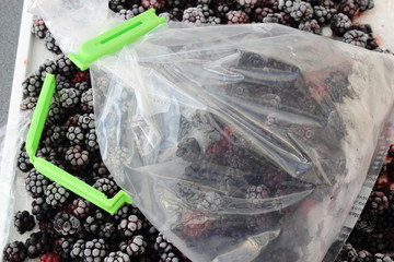 Brombeeren in Gefriert&uuml;te