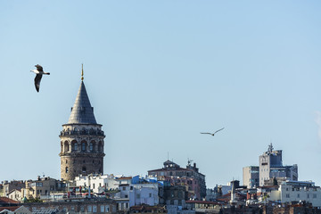 Obraz premium Wieża Galata w Stambule w Turcji