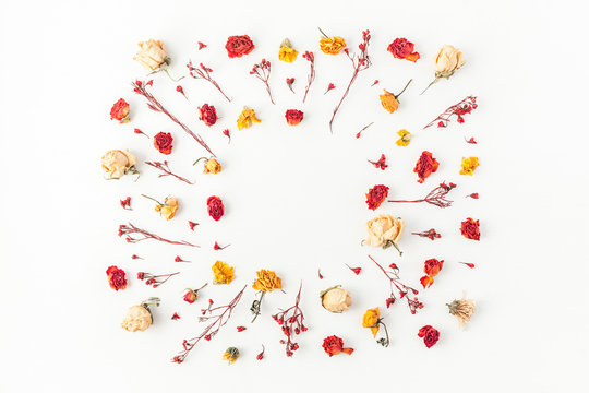 Autumn composition. Frame made of autumn dried flowers on white background. Flat lay, top view, copy space
