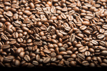 coffee beans