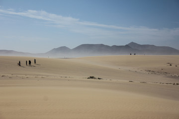 Fototapeta na wymiar Dunas de Corralejo desert, Fuerteventura