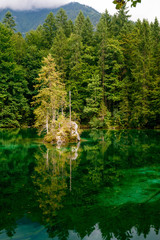 Kleine Insel im Bergsee
