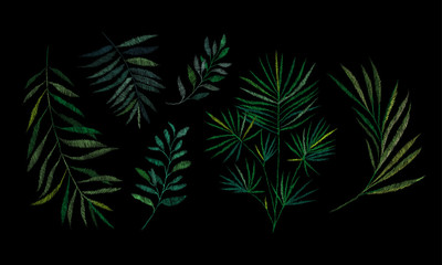 Obraz premium Set, a branch of a tropical palm tree. Traditional folk stylish stylish floral embroidery on the black background. Sketch for printing on fabric, clothing, bag, accessories and design. vector. Trend