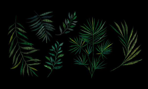 Set, a branch of a tropical palm tree. Traditional folk stylish stylish floral embroidery on the black background. Sketch for printing on fabric, clothing, bag, accessories and design. vector. Trend