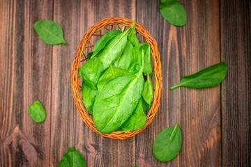 Fresh juicy spinach leaves on a wooden brown table. Natural products, greens, healthy food,...