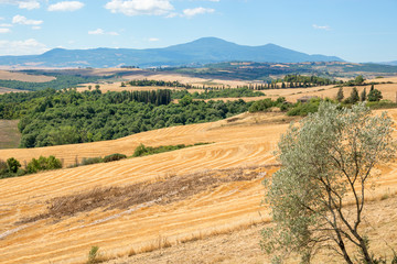 Tuscany landscape in summer, after harvest, Italy
