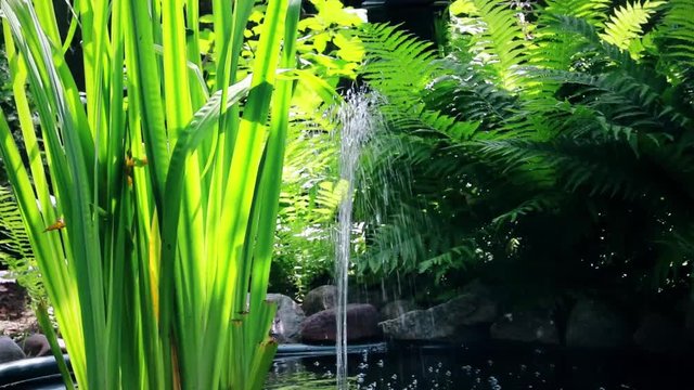 Gushing water in the garden