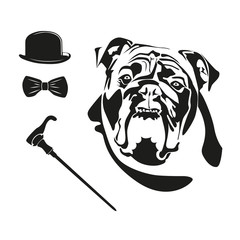 The head of a bulldog dog. Black and white vector image.