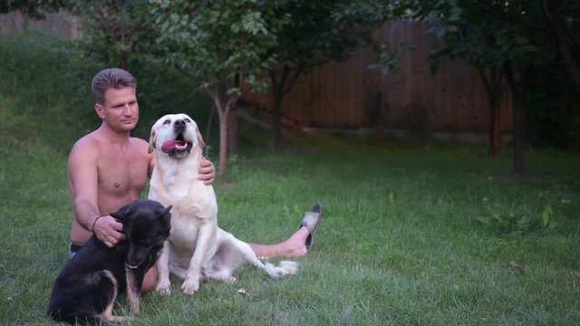 Master with his dogs, labrador and half blood dog