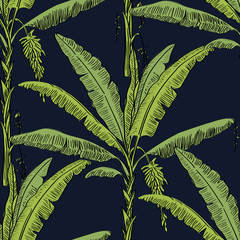 Vector drawn banana palm tree seamless pattern with leaves on blue background in a sketch style. Exotic collection.