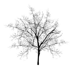 Spooky Dead Tree vector