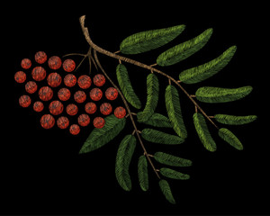 Branch of mountain ash. Traditional folk stylish stylish floral embroidery on the black background. Sketch for printing on fabric, clothing, bag, accessories and design. Vector, trend