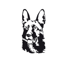 The head of a sheep dog. Black and white vector image.