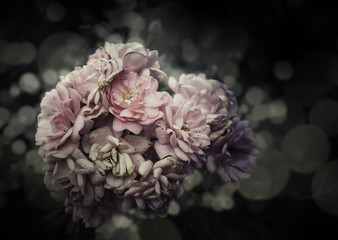 Rose Flowers in the design of natural dark tones.