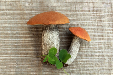 Mushrooms
