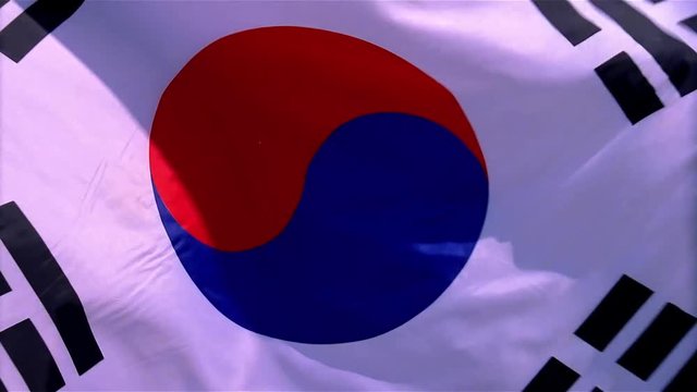Flag of South Korea rippling in the wind.