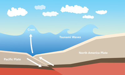 how to tsunami from disaster earthquke
