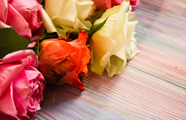 White, red and pink roses closeup