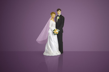 bride and groom wedding cake toppers