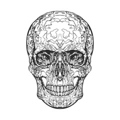 Black skull on white background. Vector skull for print, emblem, t-shirt design, cards, labels.