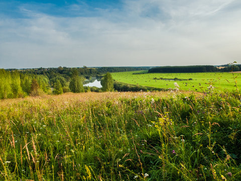 Summer landscape. River Nemda, Kirov region, Russia.