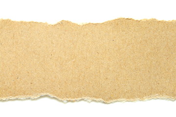 brown ripped paper on white background, have copy space for put text - obrazy, fototapety, plakaty