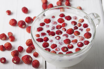  Forest  strawberry with cottage
