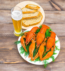Boiled red crawfish on a white plate with green fennel on a wooden background. Tasty red steamed rawfish closeup with  glass of beer on wood table, seafood dinner, nobody. Copy space for text.