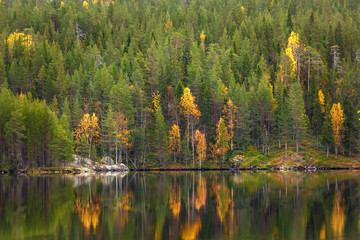 Autumn forest and lake with reflection, Finland