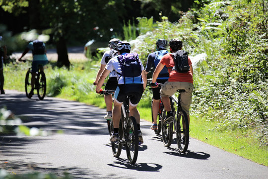 Gruppe von Mountainbikern im Wald