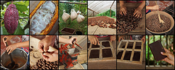 Sequence of 12 photos that teach the process to make homemade chocolate