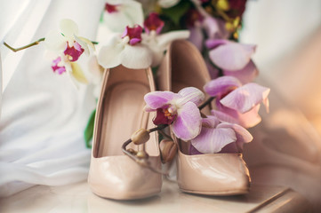 Женские бежевые туфли на каблуке рядом с красивыми цветами