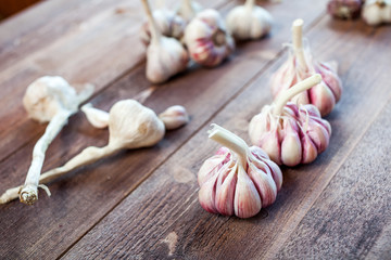 Garlic. Garlic Cloves and Garlic Bulb on a wooden vintage rustic table.