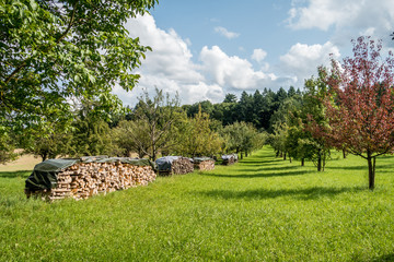 Brennholzlager auf Wiese © focus finder