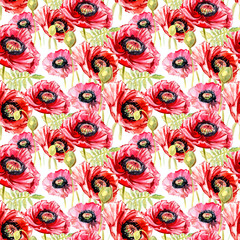 Wildflower poppy flower  pattern in a watercolor style. Full name of the plant: poppy. Aquarelle wild flower for background, texture, wrapper pattern, frame or border.