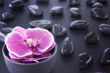 Spa. Orchid in a black vase, black pebbles. Toned.