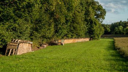 Brennholzlager auf Wiese