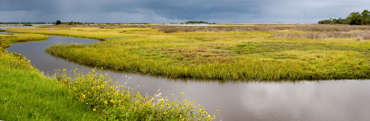 Approaching storm over the Marshes on the Florida Gulf coast