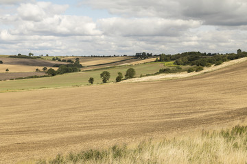 Fototapeta na wymiar Rutland Farmland / An image of farmland in the county of Rutland, some of the crops have been cut making the fields look like late summer patchwork, shot in Rutland, England, UK